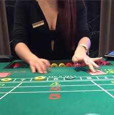 9556bet