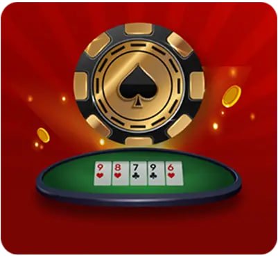 9556bet